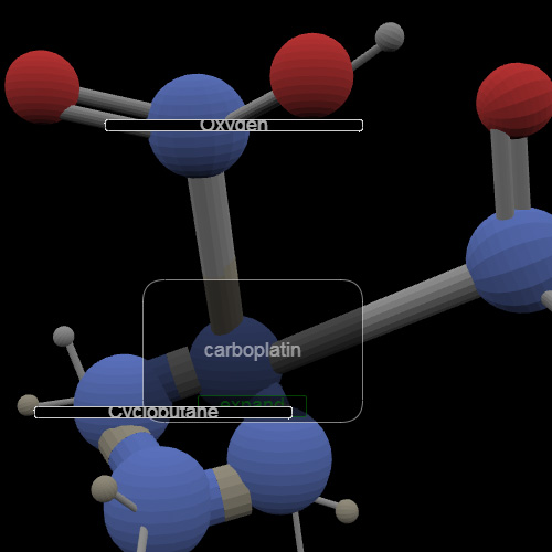 Carboplatin & Cisplatin